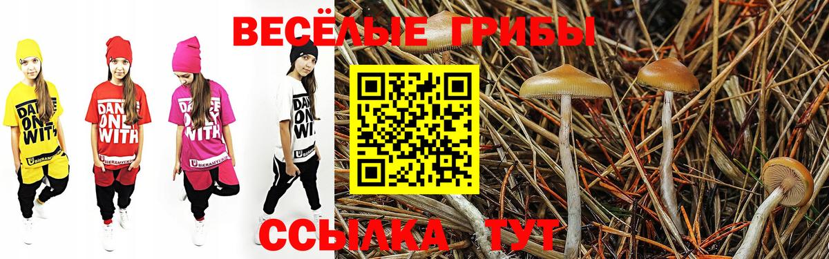 Псилоцибиновые грибы Psilocybe  Вход с VPN  Галлюциногенные грибы ЛСД  Шуя 