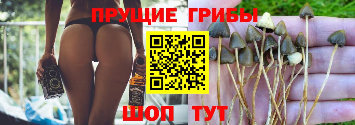 Псилоцибиновые грибы ЛСД Шуя