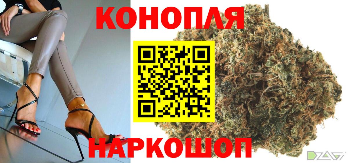 Бошки Шишки план Шуя
